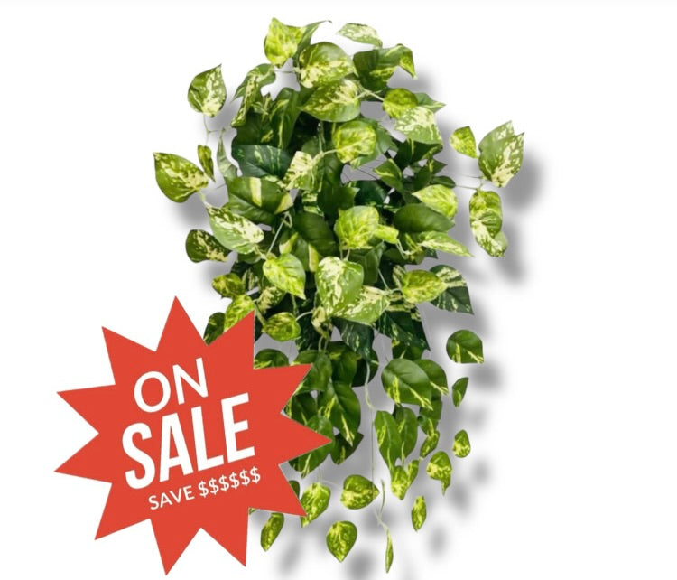 artificial pothos plants Los Angeles Wholesaler | 26" Pothos Bush ( INT576-KA ) - International Silk Flowers