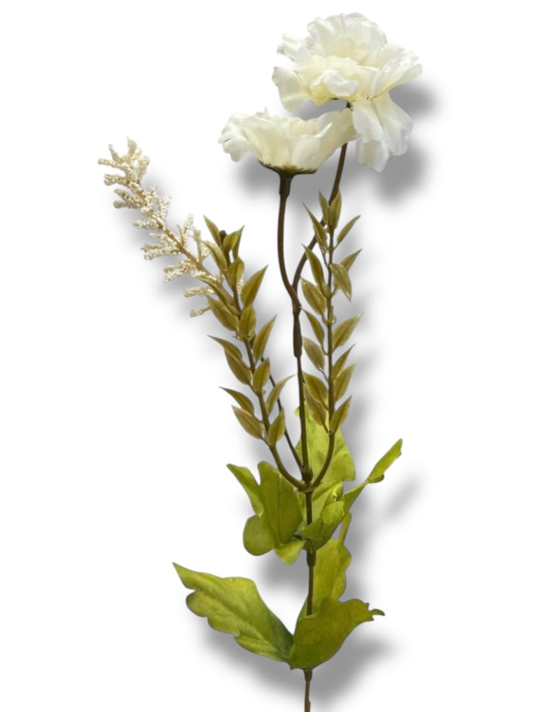 20 Mini Daisy/Astible Bush ( 106363-CR )