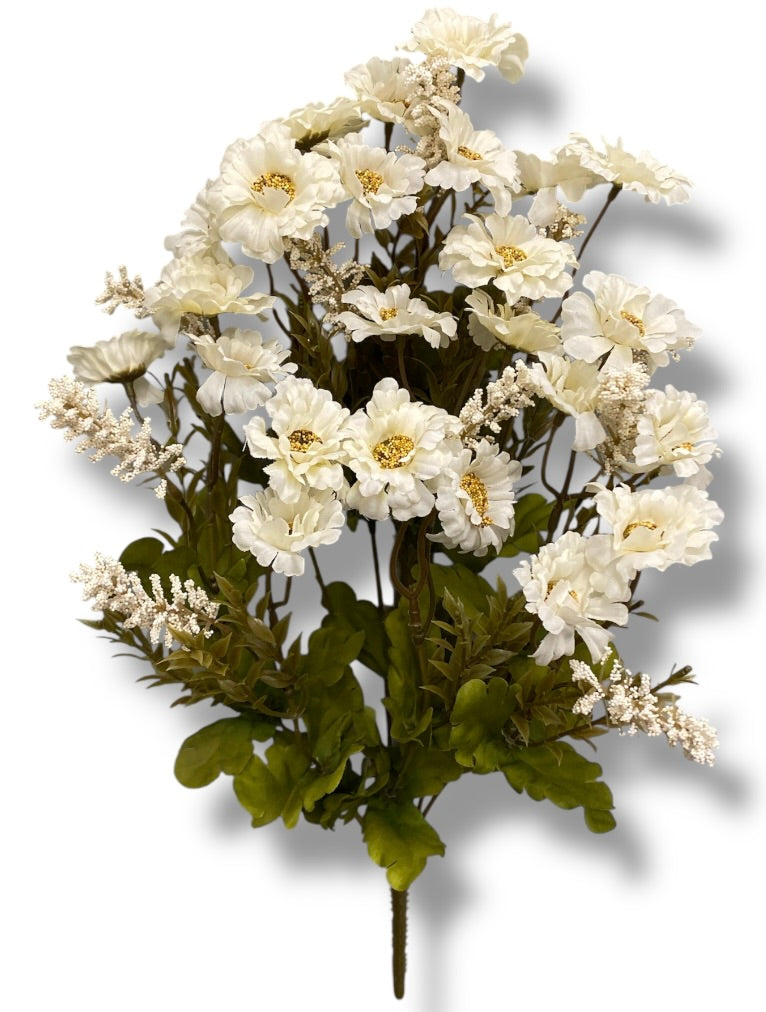 20 Mini Daisy/Astible Bush ( 106363-CR )
