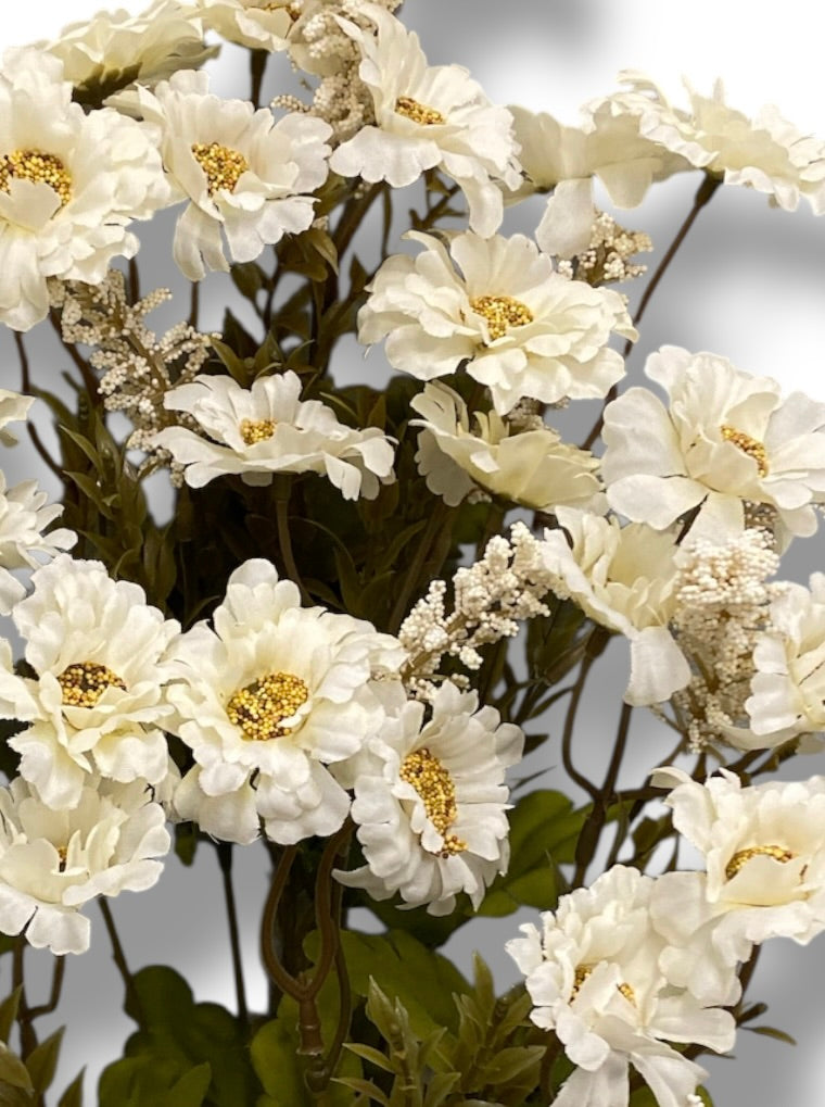 20 Mini Daisy/Astible Bush ( 106363-CR )