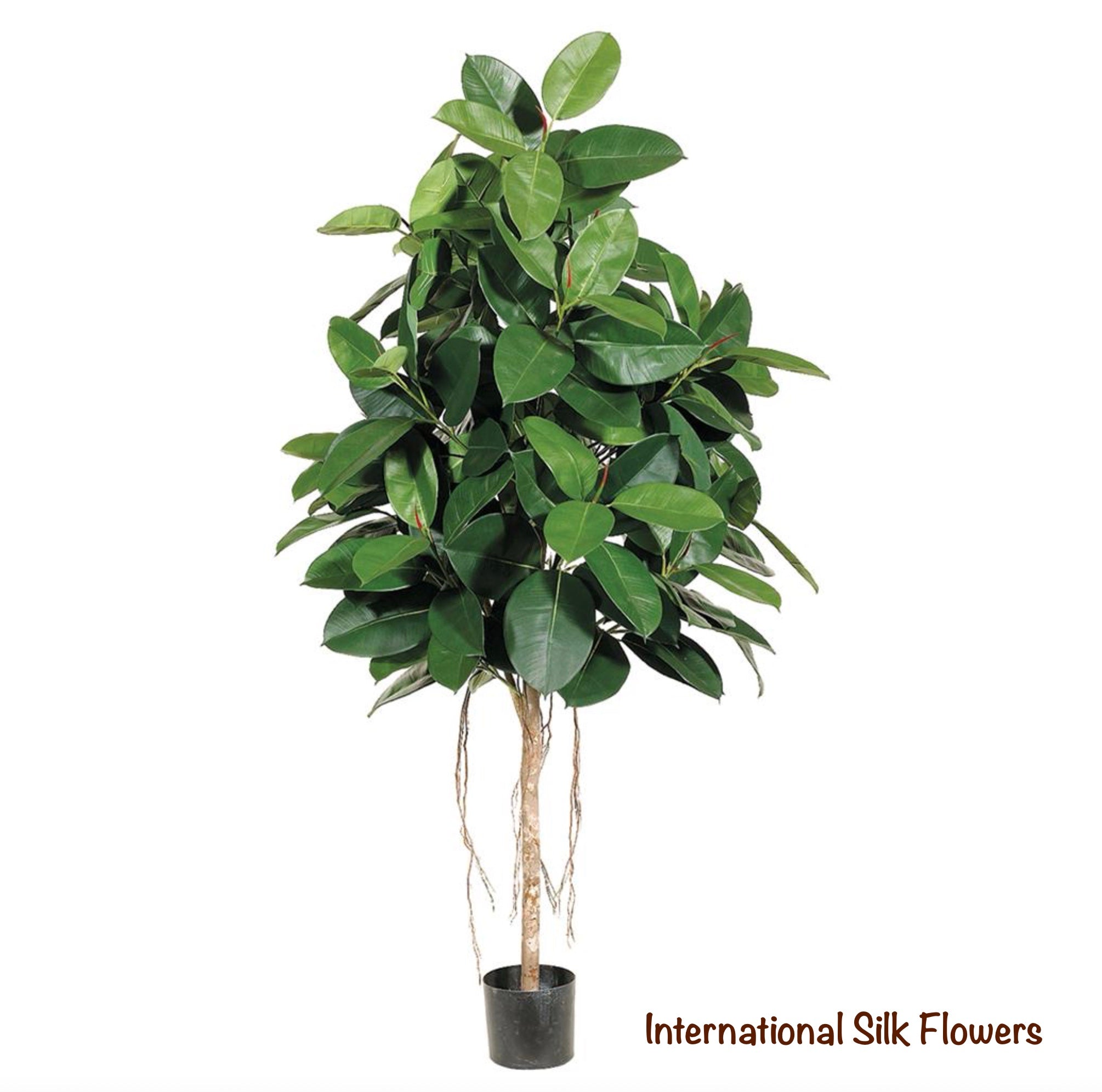 silk rubber tree Los Angeles Wholesaler | 6' Rubber Tree ( LTR505-GR/TT )- International Silk Flowers