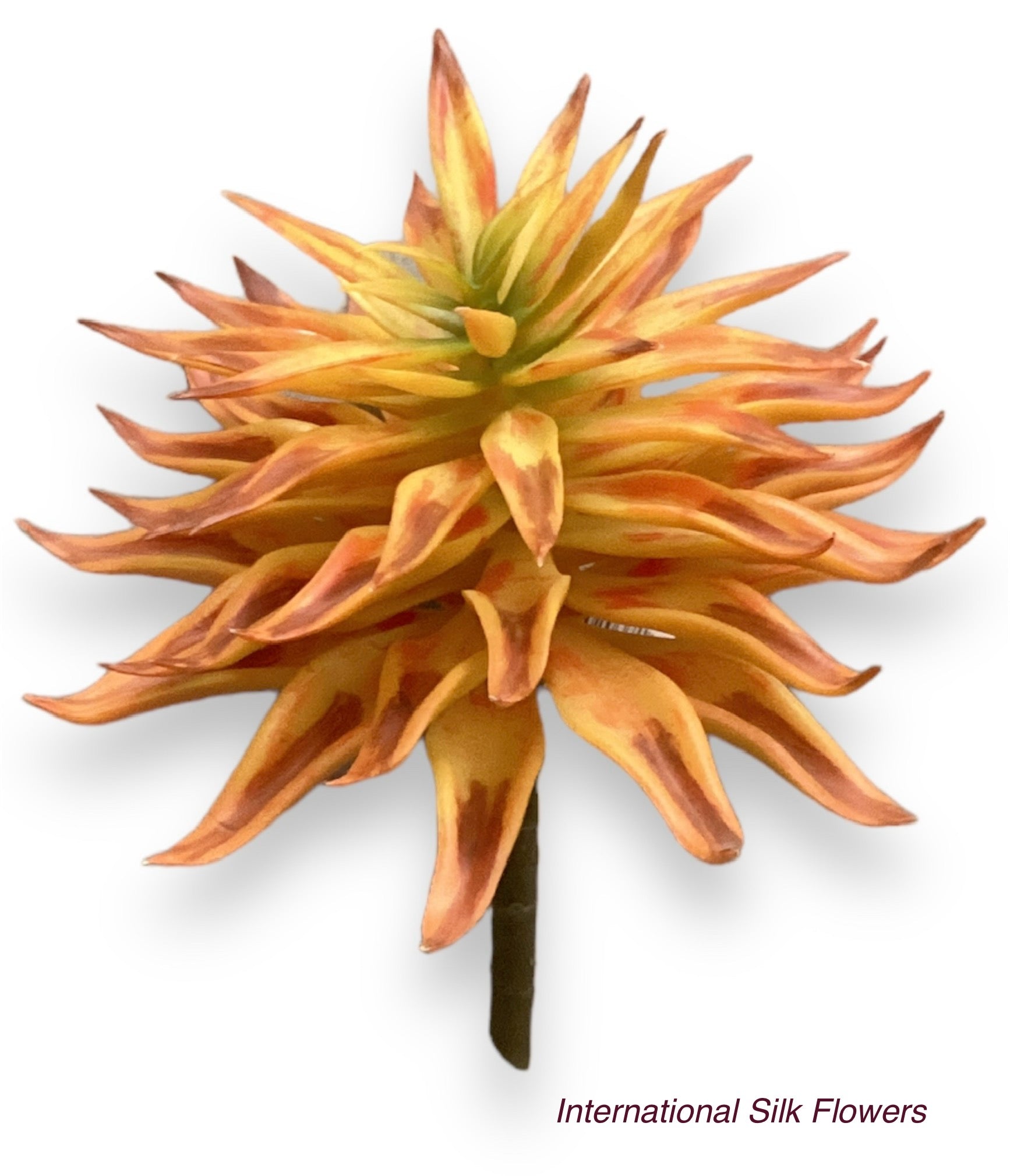succulent rust 7'' SUCCULENT PICK ( 196045-Rust Yellow ) – International Silk Flowers