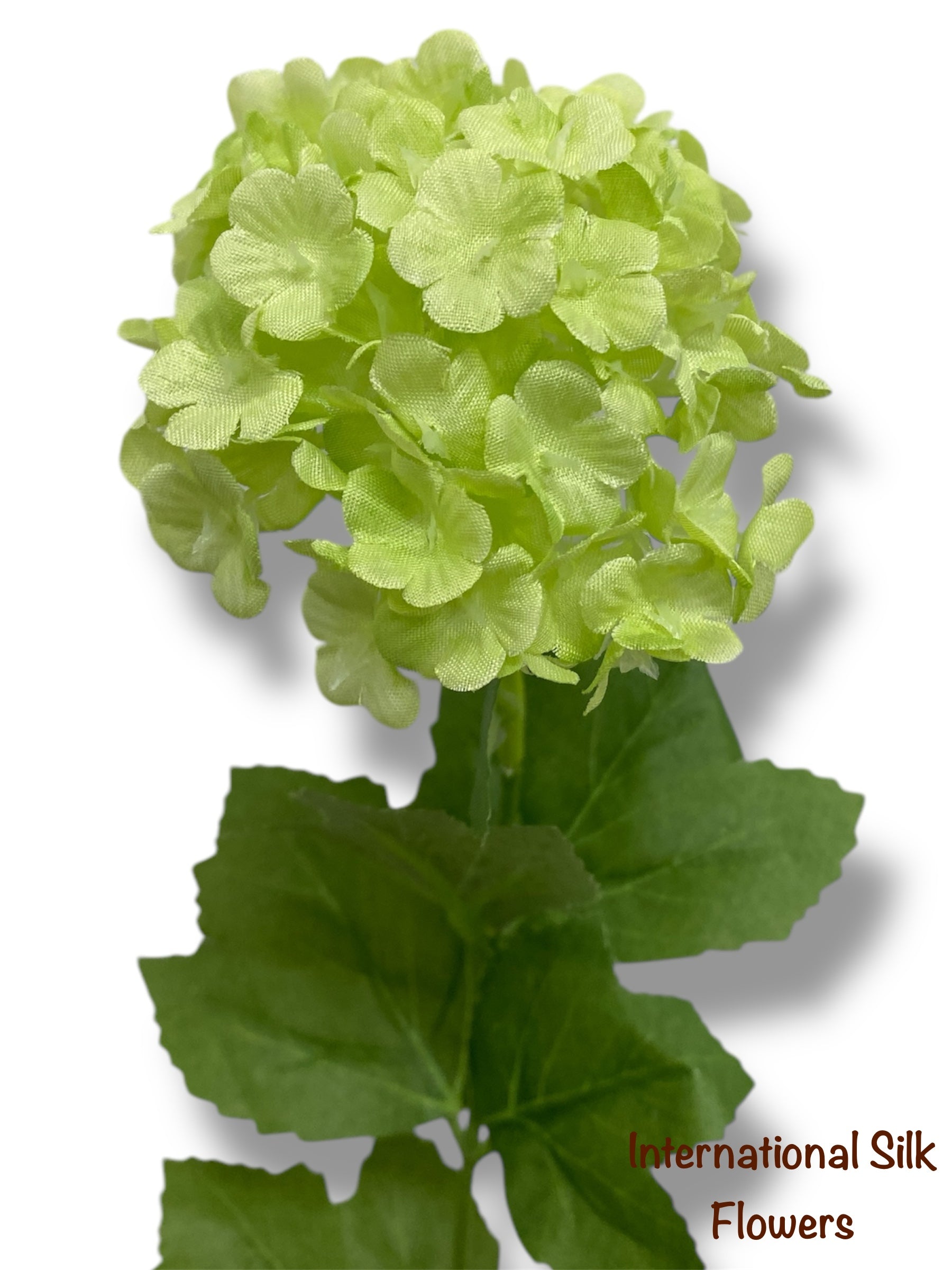 17" Snowball Bush ( FBS118-GR/LT )