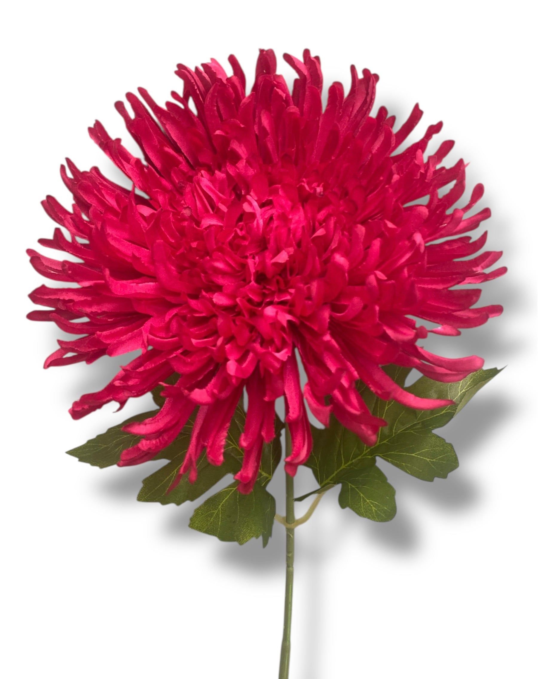 22'' New Mum Bush ( J7023-#10 New Fushia  )