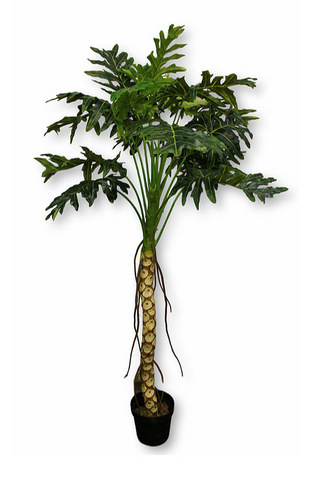 7’ Faux Real Touch Happy Philo Tree ( INT8006-19-1PS )