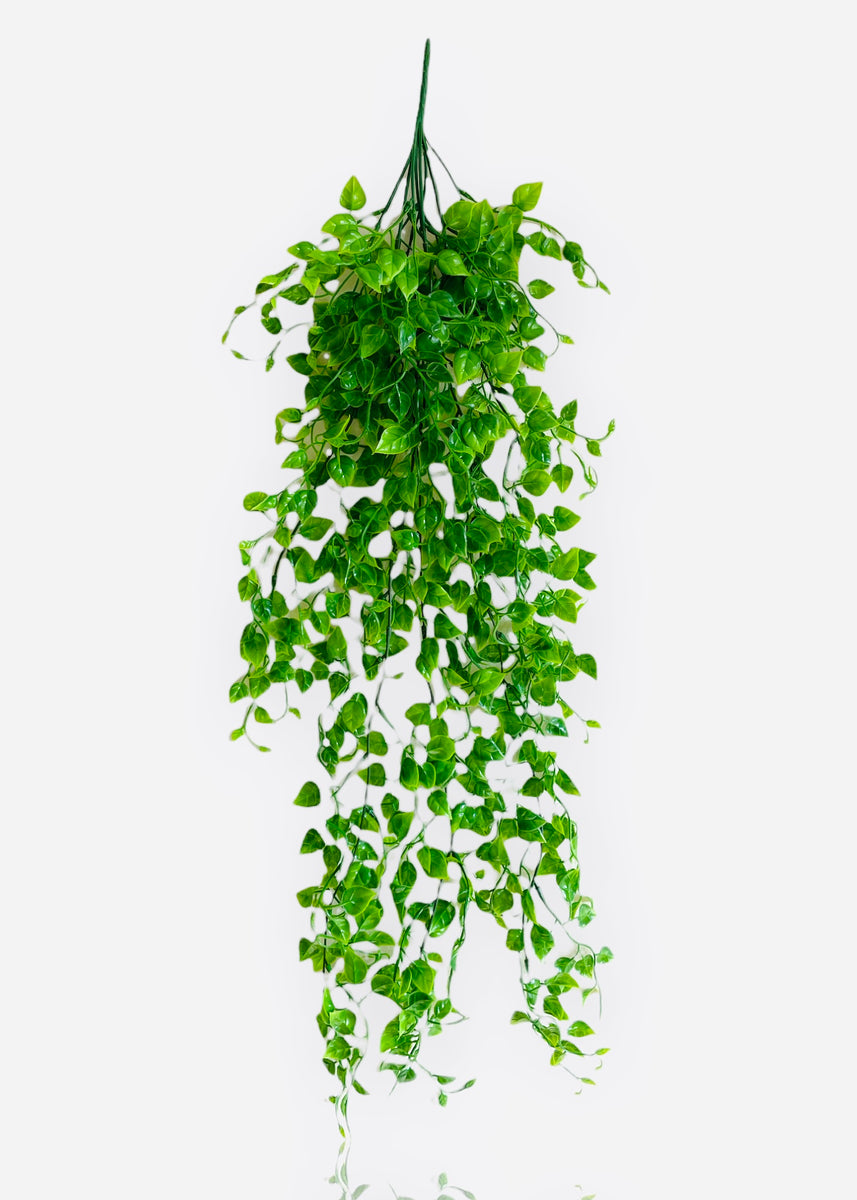 35" Plastic Hanging Greenery Bush ( PH15613 ) INTERNATIONAL SILK