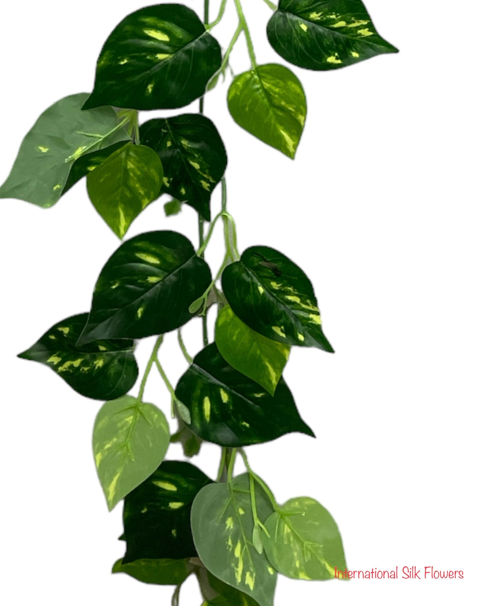 6' Pothos Leaf Garland ( INT104 )