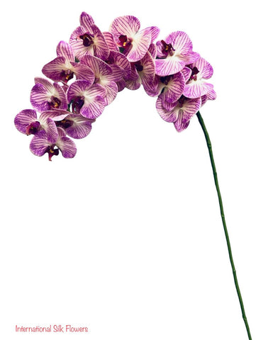 42" Real Touch Phalaenopsis Spray ( FO7199-CPU )