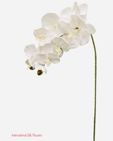 36" Silk Orchid Spray ( S1TJ16-White ) INT57A