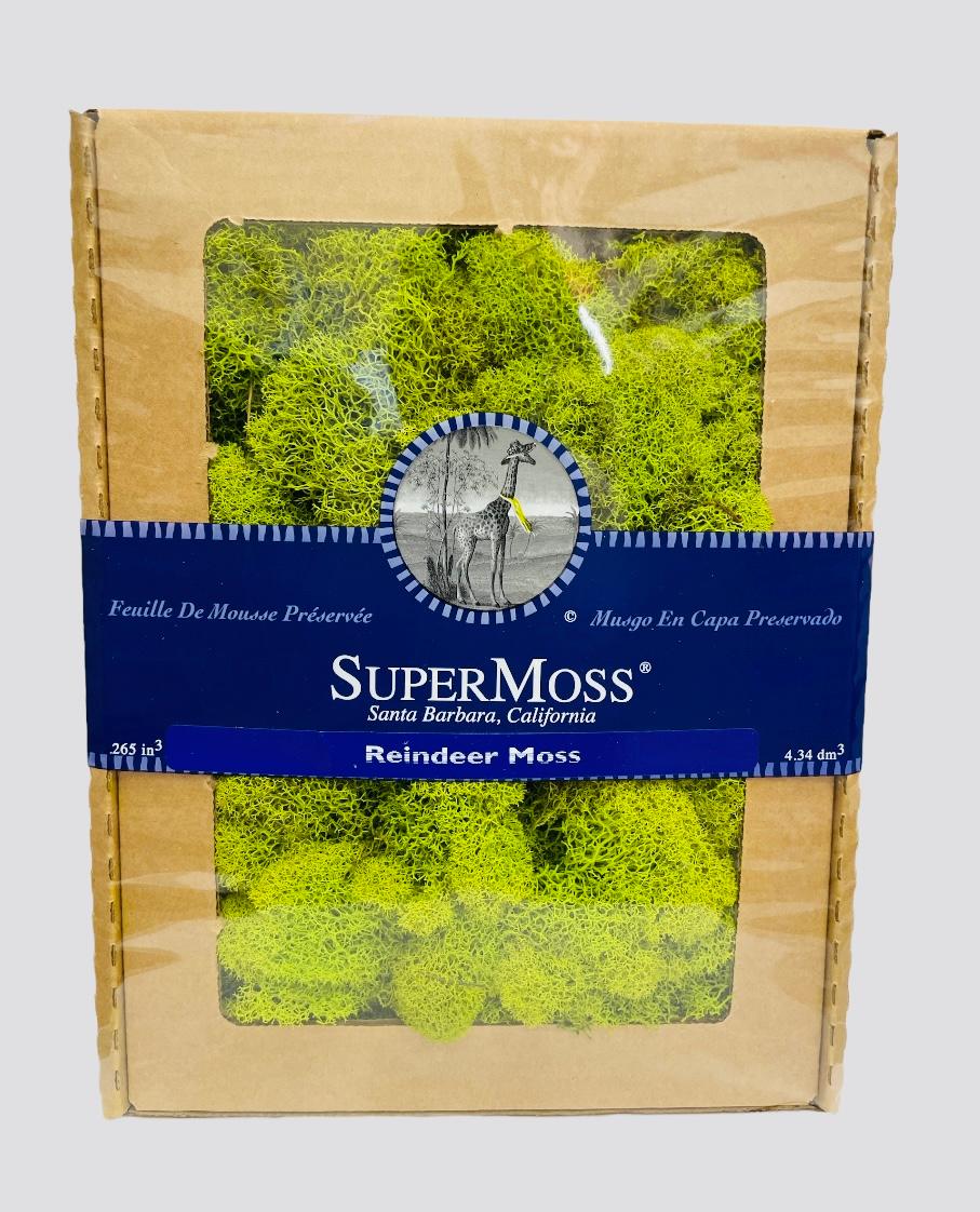 REINDEER MOSS ( 25111) INTERNATIONAL SILK