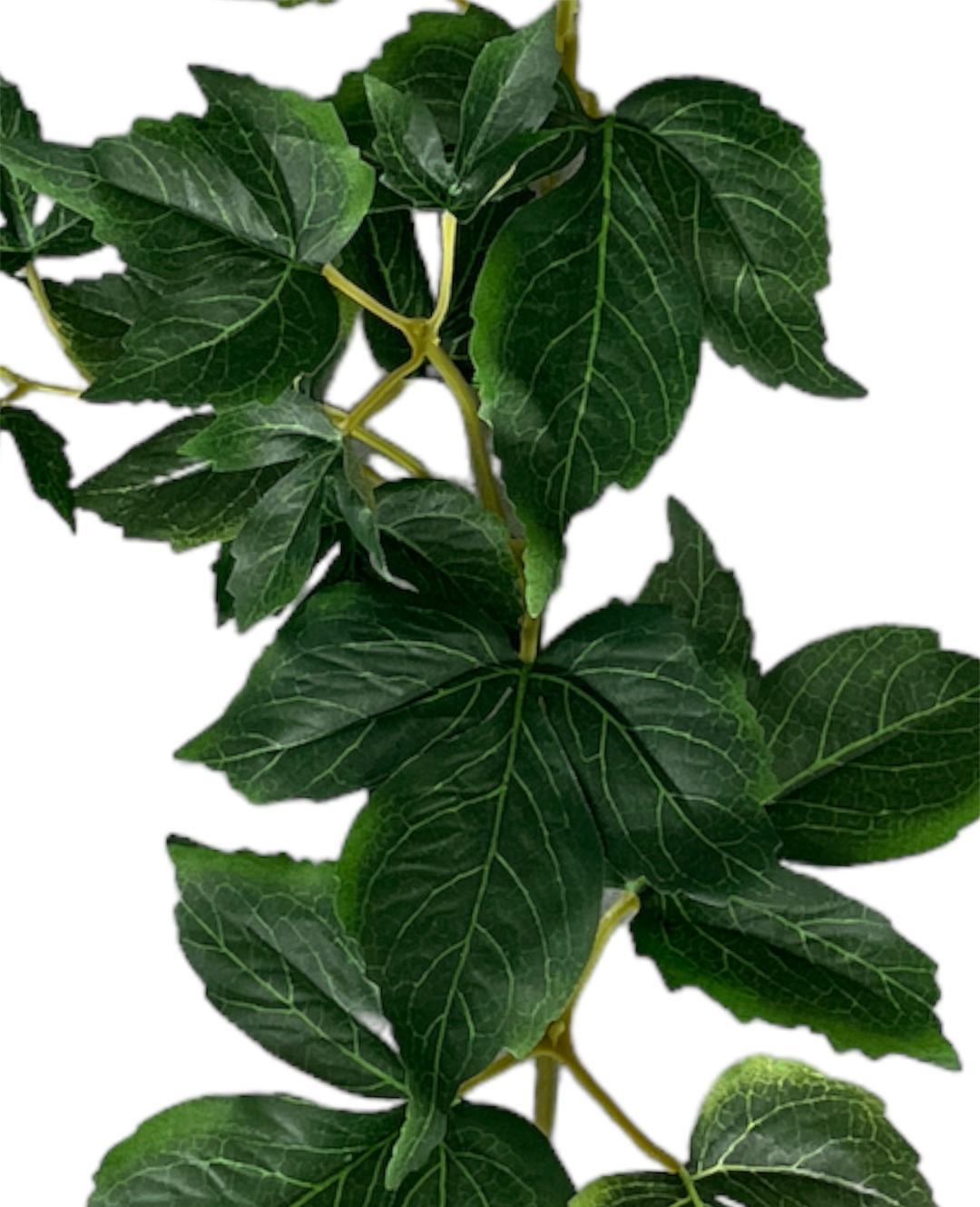 6' Boston Ivy Garland ( 5078 )