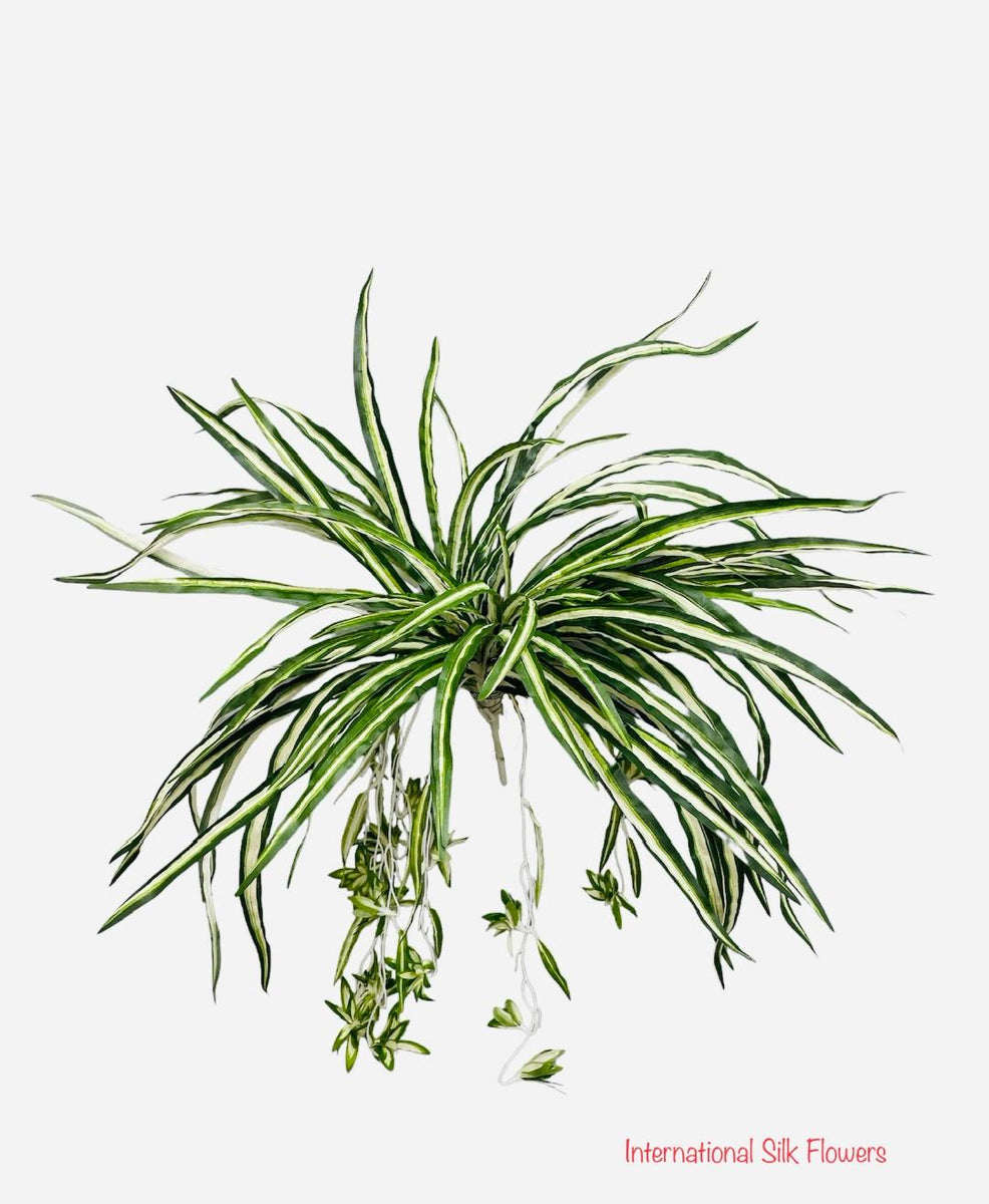 24'' Spider Plant ( INT417A ) INTERNATIONAL SILK