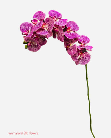 37" Real Touch Phalaenopsis Spray ( FO7195-PUW )