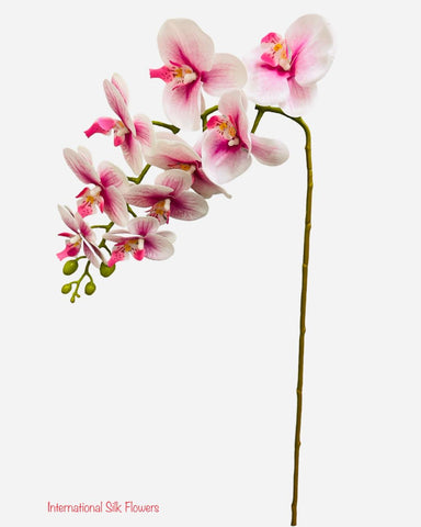 37'' Natural Touch Orchid ( INT053-Cream Beauty )