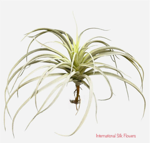 11.5'' Succulent  ( NC0907-WG )