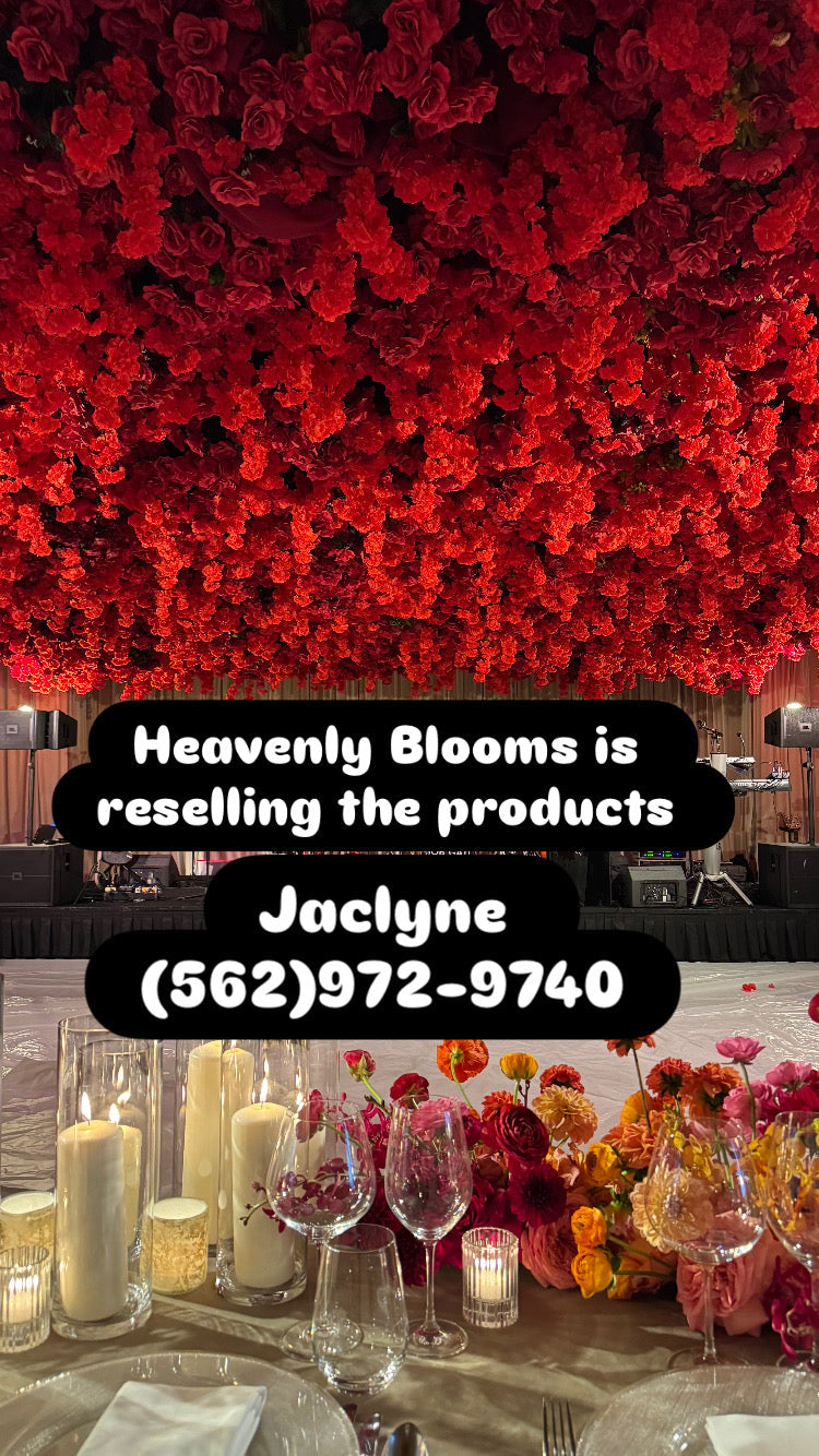 Heavenly Blooms