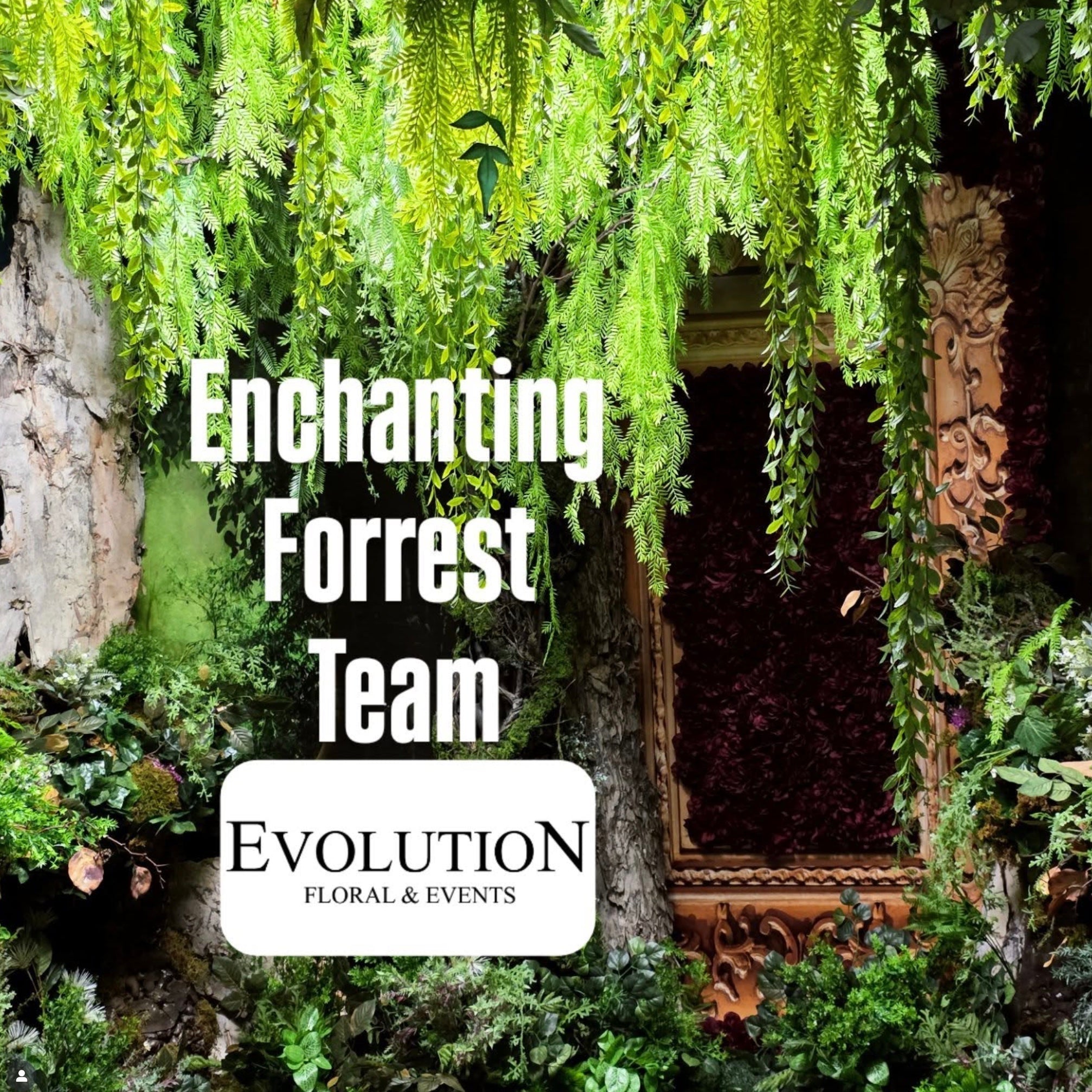 Evolution Floral & Events