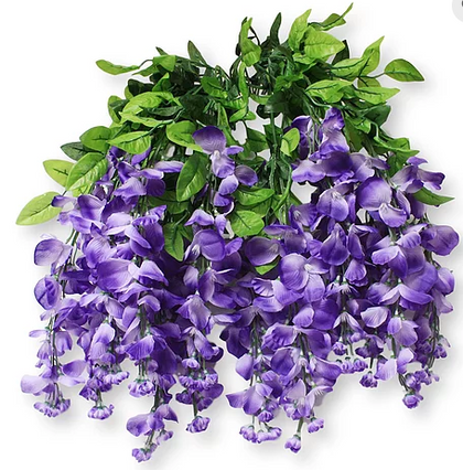 Wisteria/Hanging Flowers