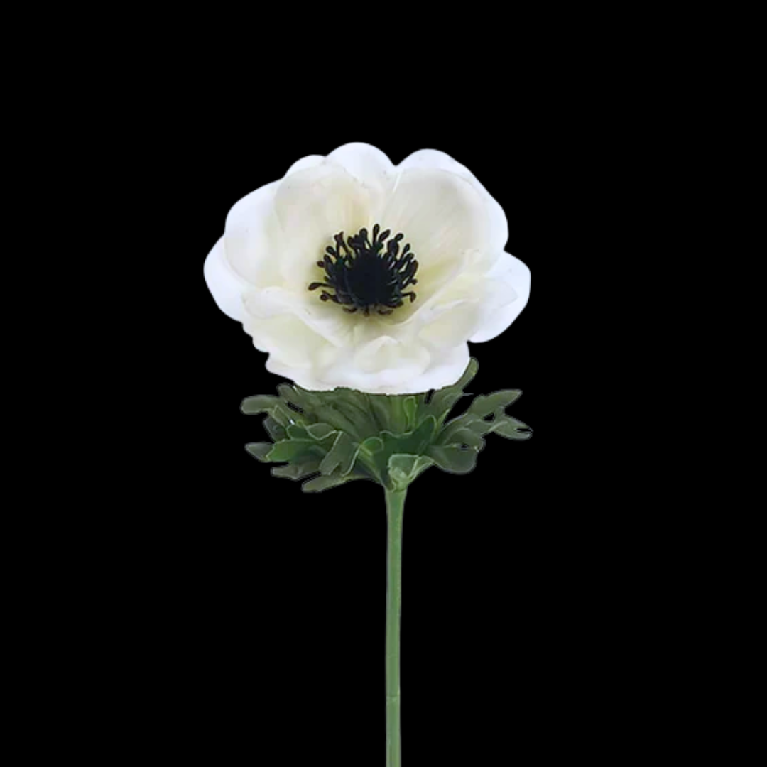 Single Stem