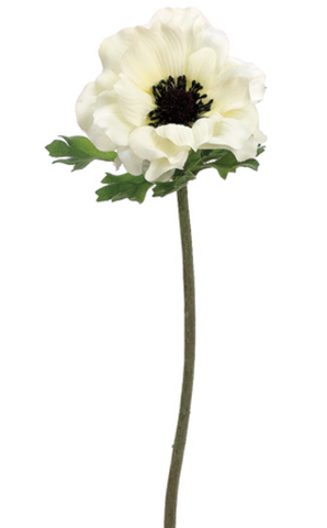 Single Stem Flowers
