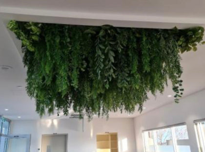 Hanging Bushes