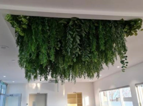 Hanging Bushes