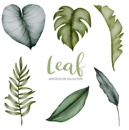 Artificial Leaf
