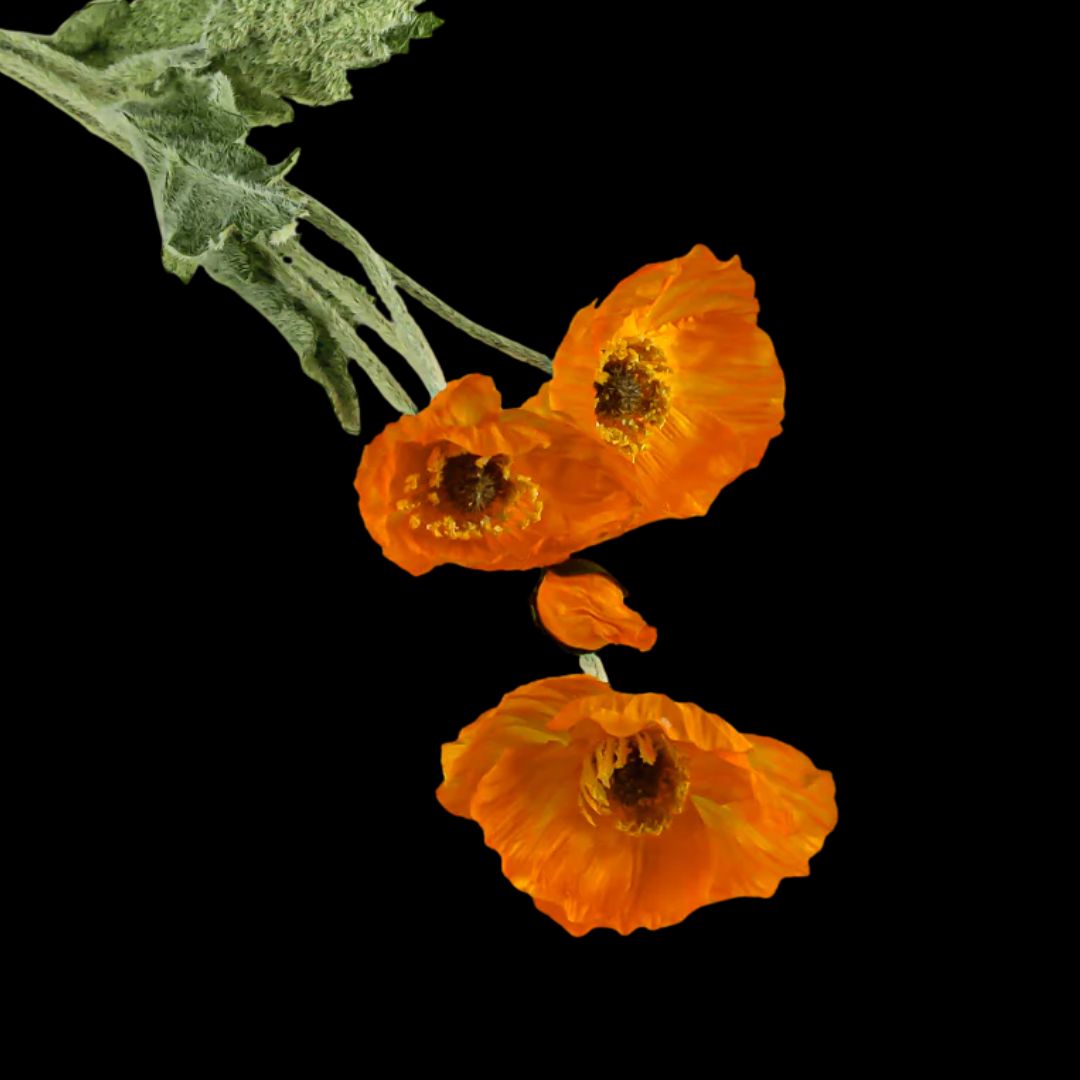 International Silk Flowers- Artificial Flowers Los Angeles