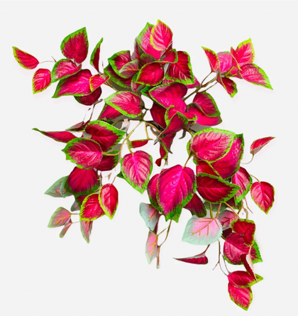 Fall Flowers & Foliages