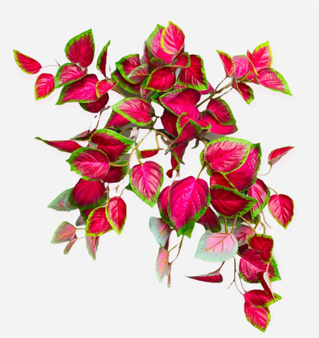 Fall Flowers & Foliages