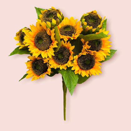 Sun Flowers