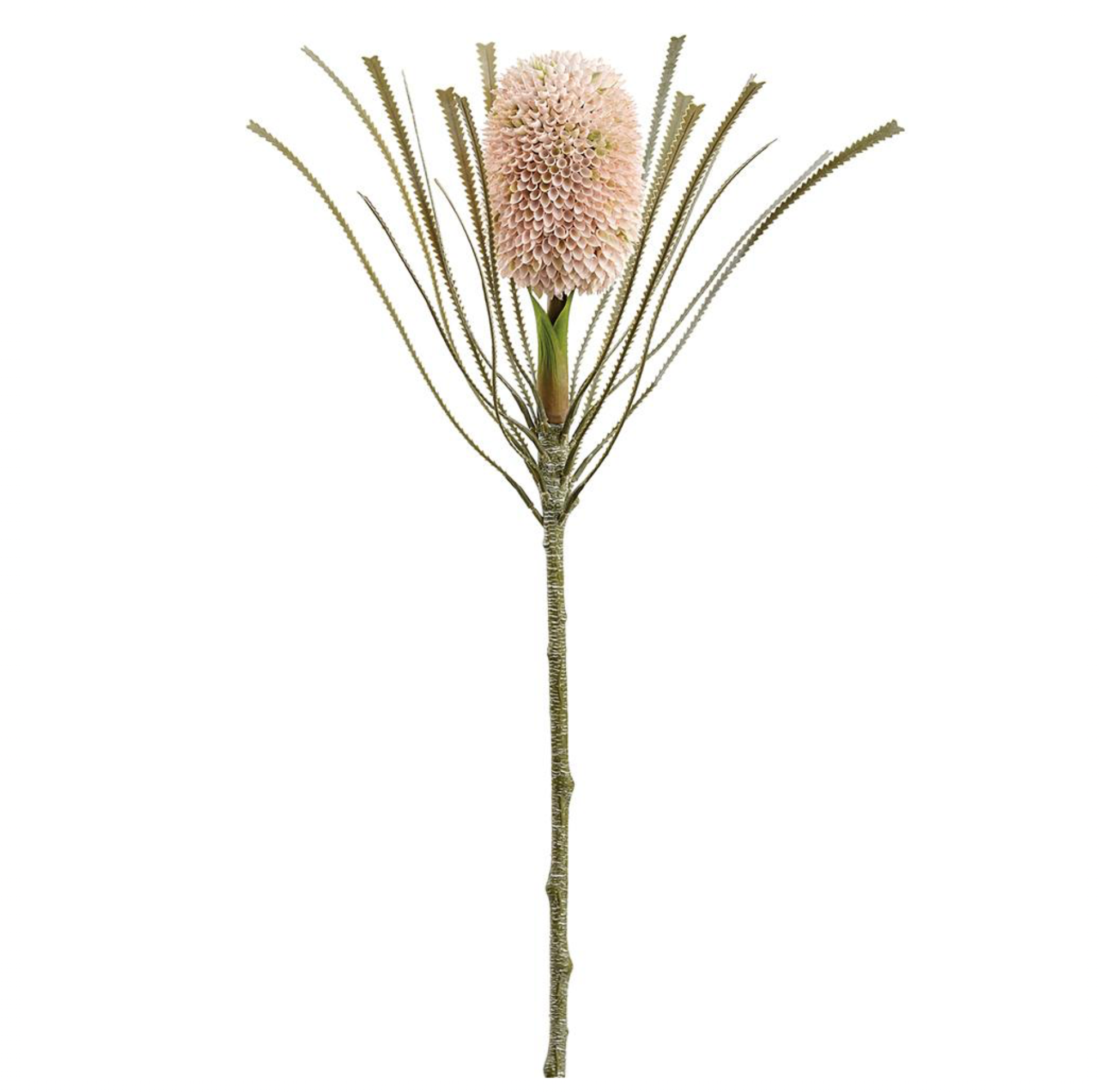 28" Banksia Spray ( FSB413-PK/SO )