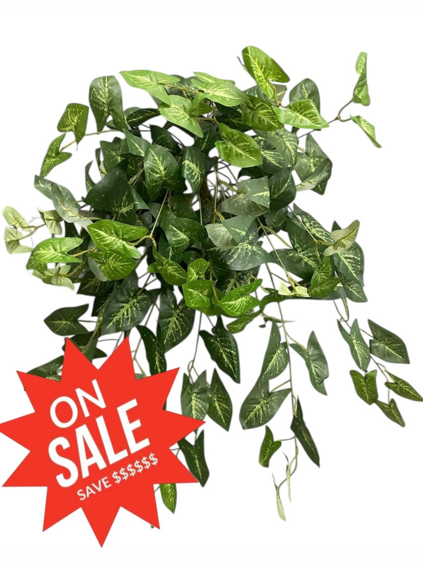 26'' Arrowhead Nephtitis Hanging Bush ( INT578-GR )