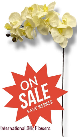 36" Silk Orchid Spray ( S1TJ16-Cream2 ) INT57A