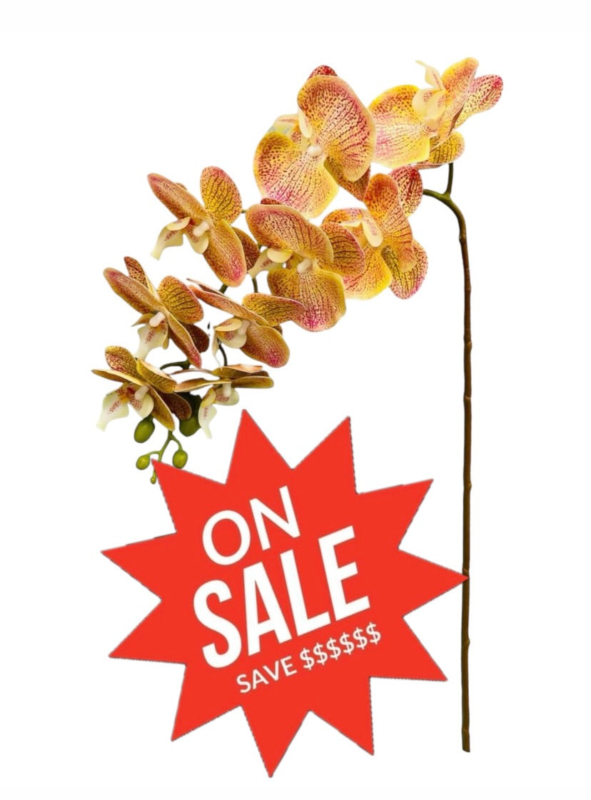 37'' Natural Touch Orchid ( INT053-Cream Pink )