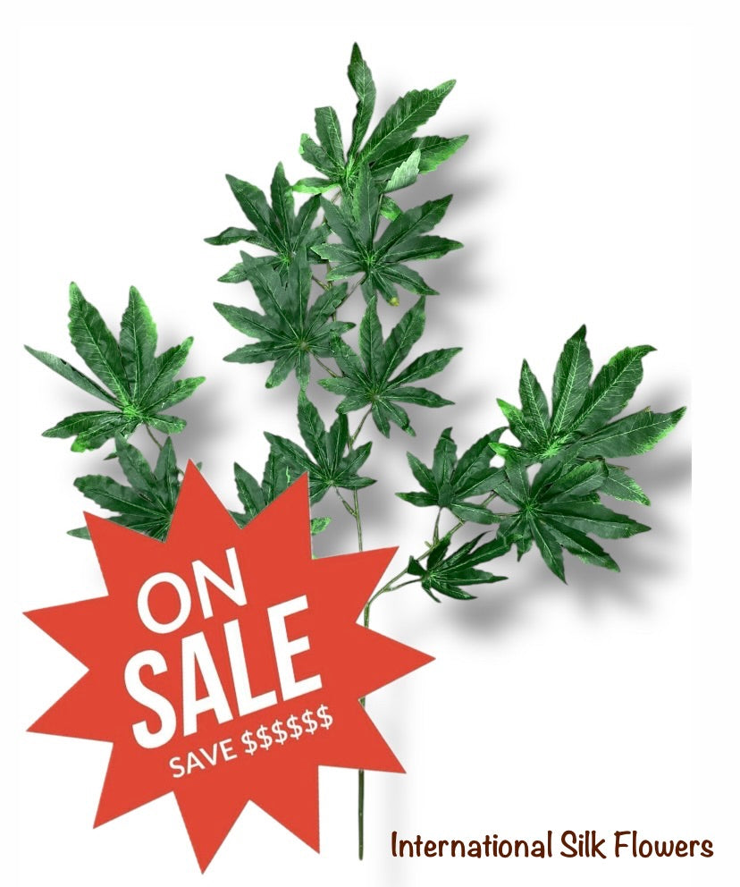 27'' Lucky Leaf Japanese Maple ( GLS67 )