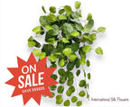 26" Creeping Charlie Bush  ( INT574-KA )