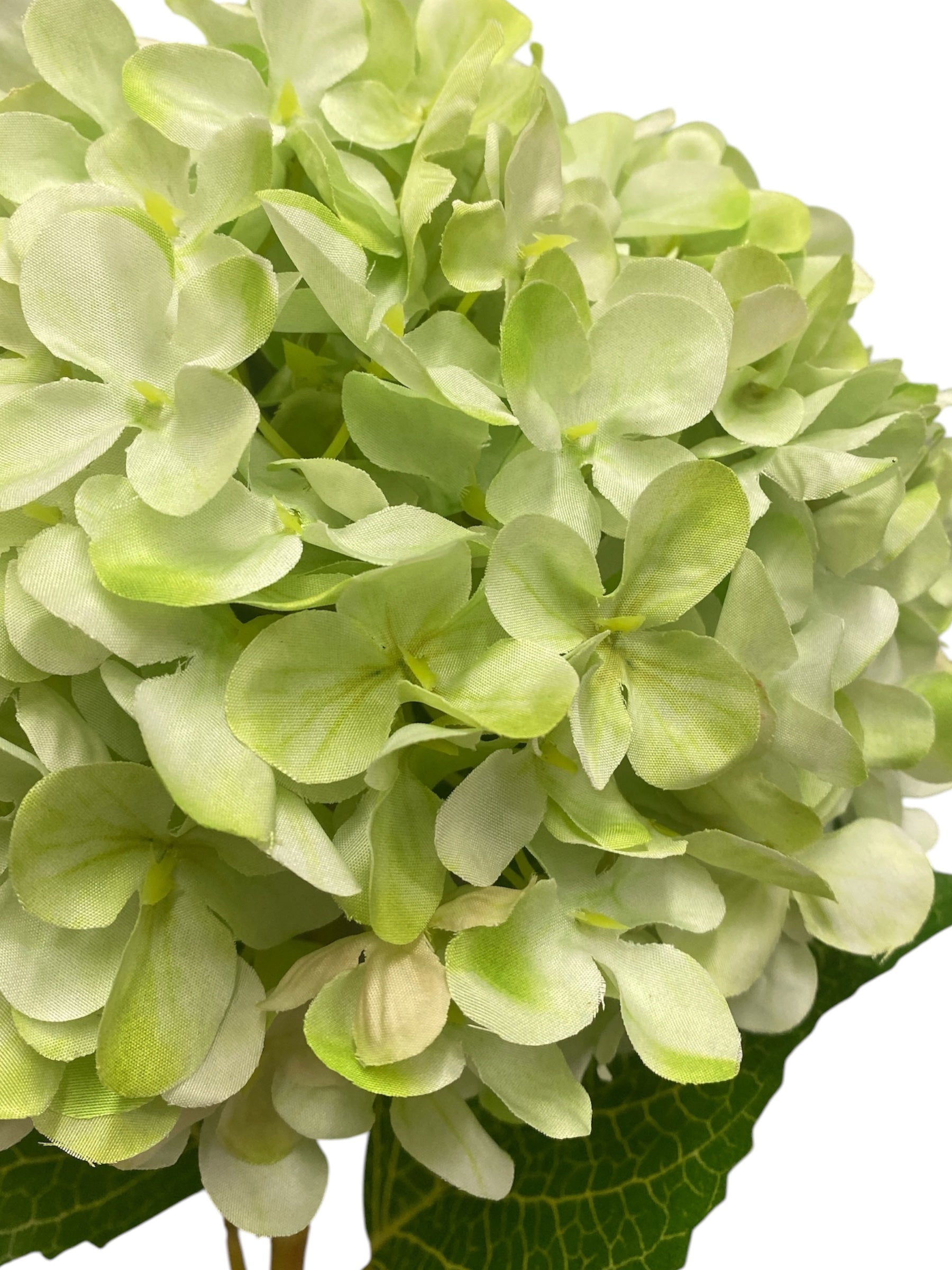 26'' Single Hydrangea ( INT1018-#18 Soft Green )