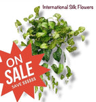 26" Spotted Coleus Bush ( INT584-KA )