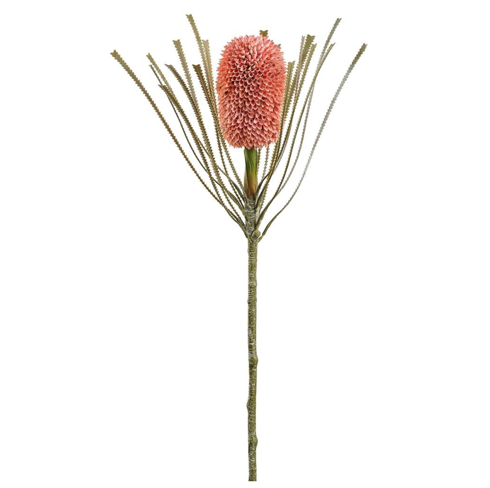 28" Banksia Spray ( FSB413-CO )