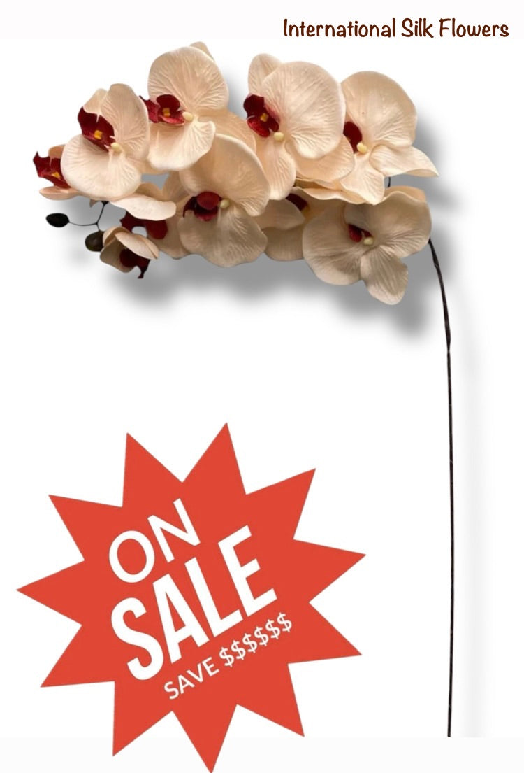 36" Silk Orchid Spray ( S1TJ16-Blush/Burgundy ) INT57A