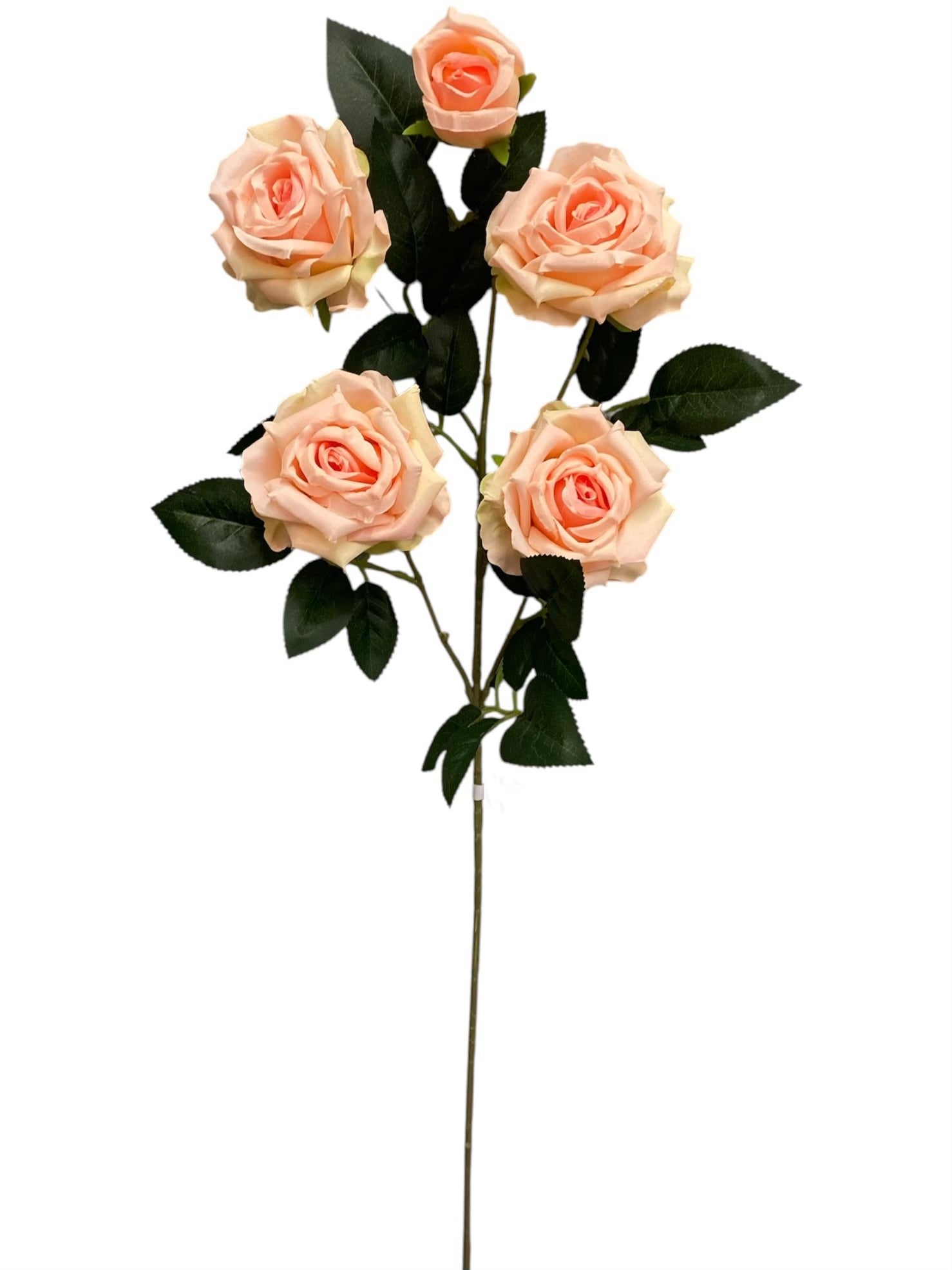 33'' Single Open Rose ( INT106-#23 Cream Pink )