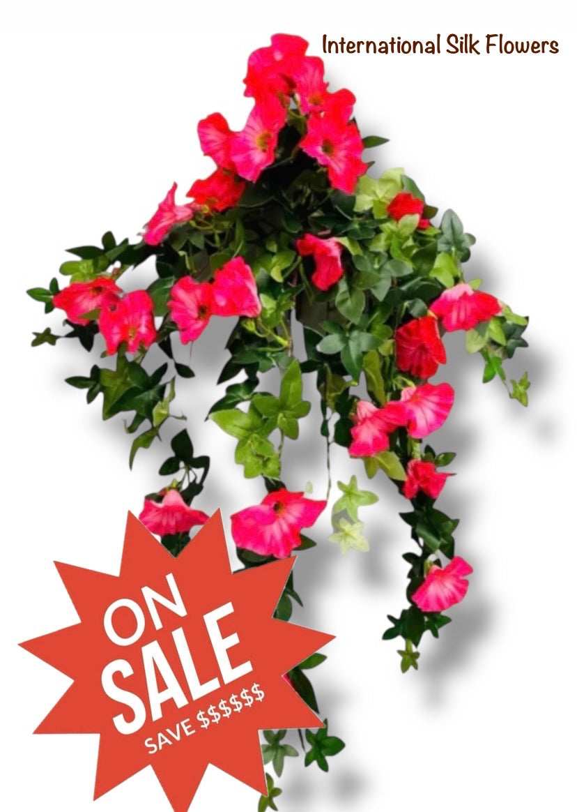 27'' MORNING GLORY HANGING BUSH ( 30563-Beauty )