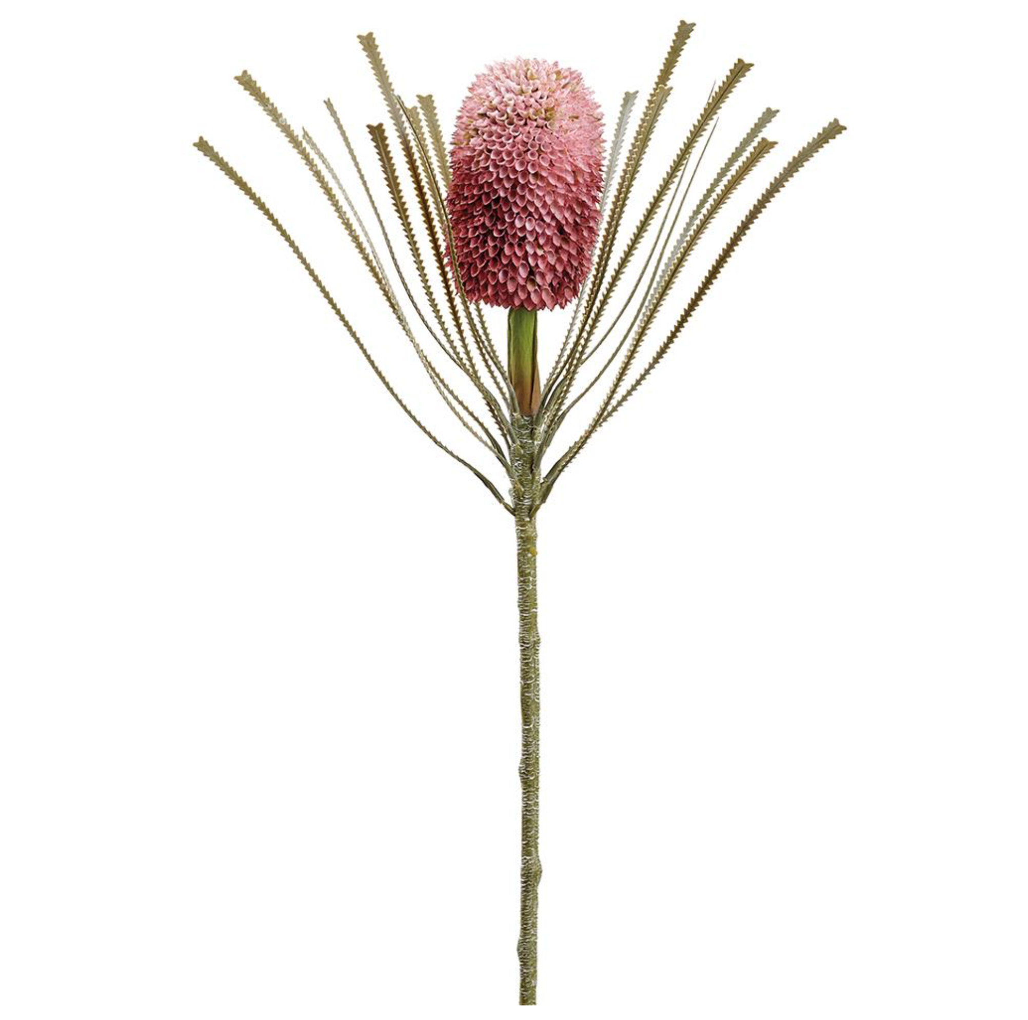 28" Banksia Spray ( FSB413-PK/MV )