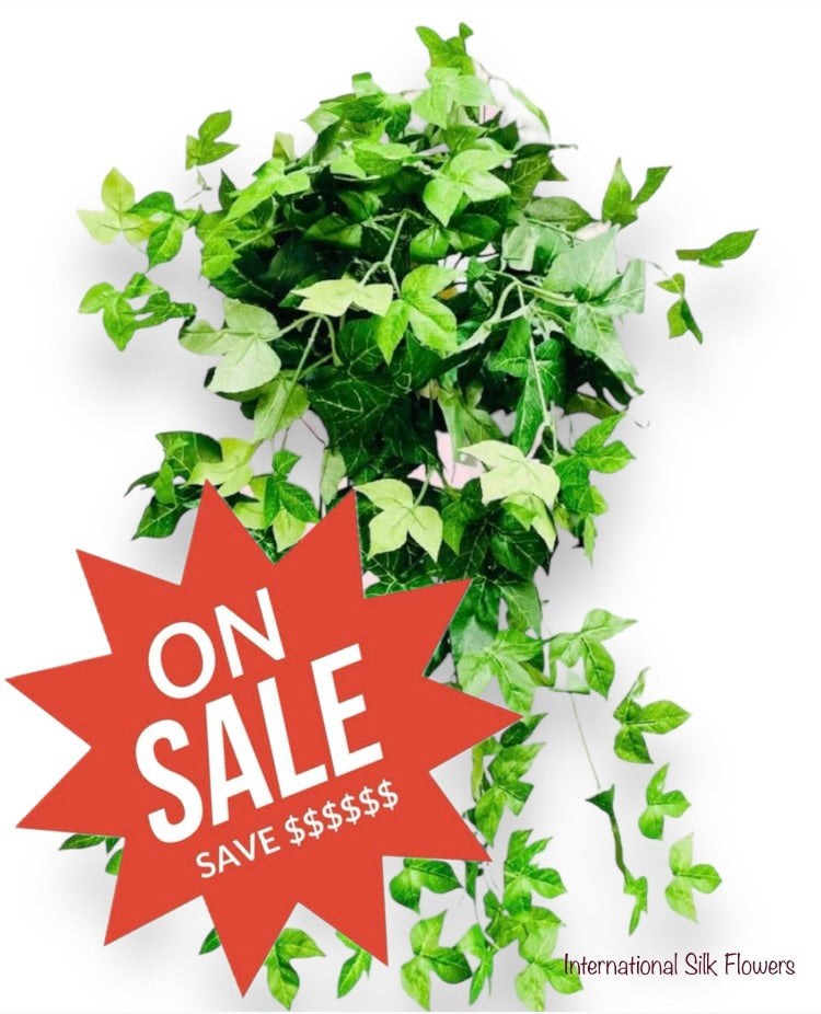 36" Maple Ivy Bush ( G180-8006 )