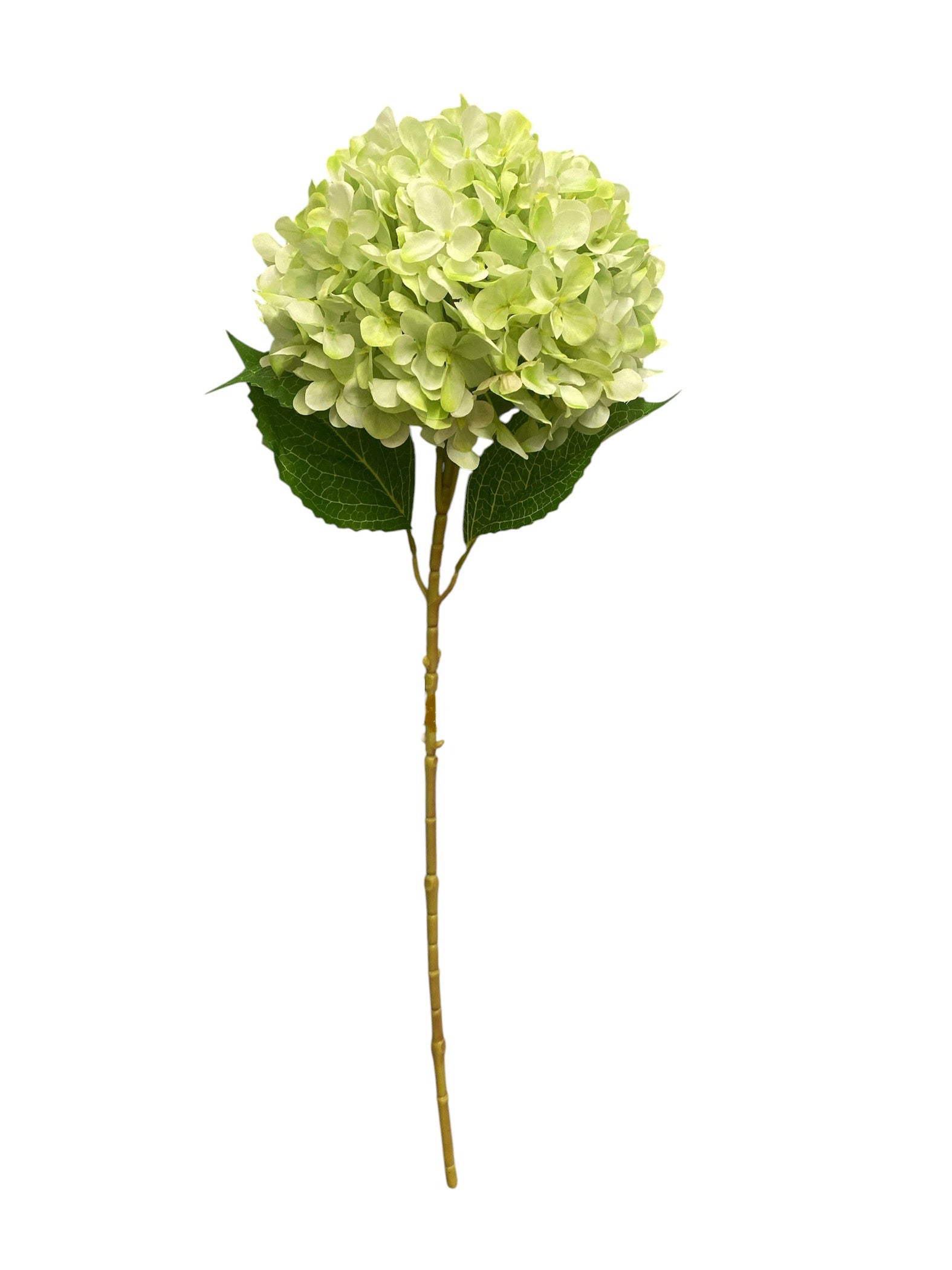 26'' Single Hydrangea ( INT1018-#18 Soft Green )