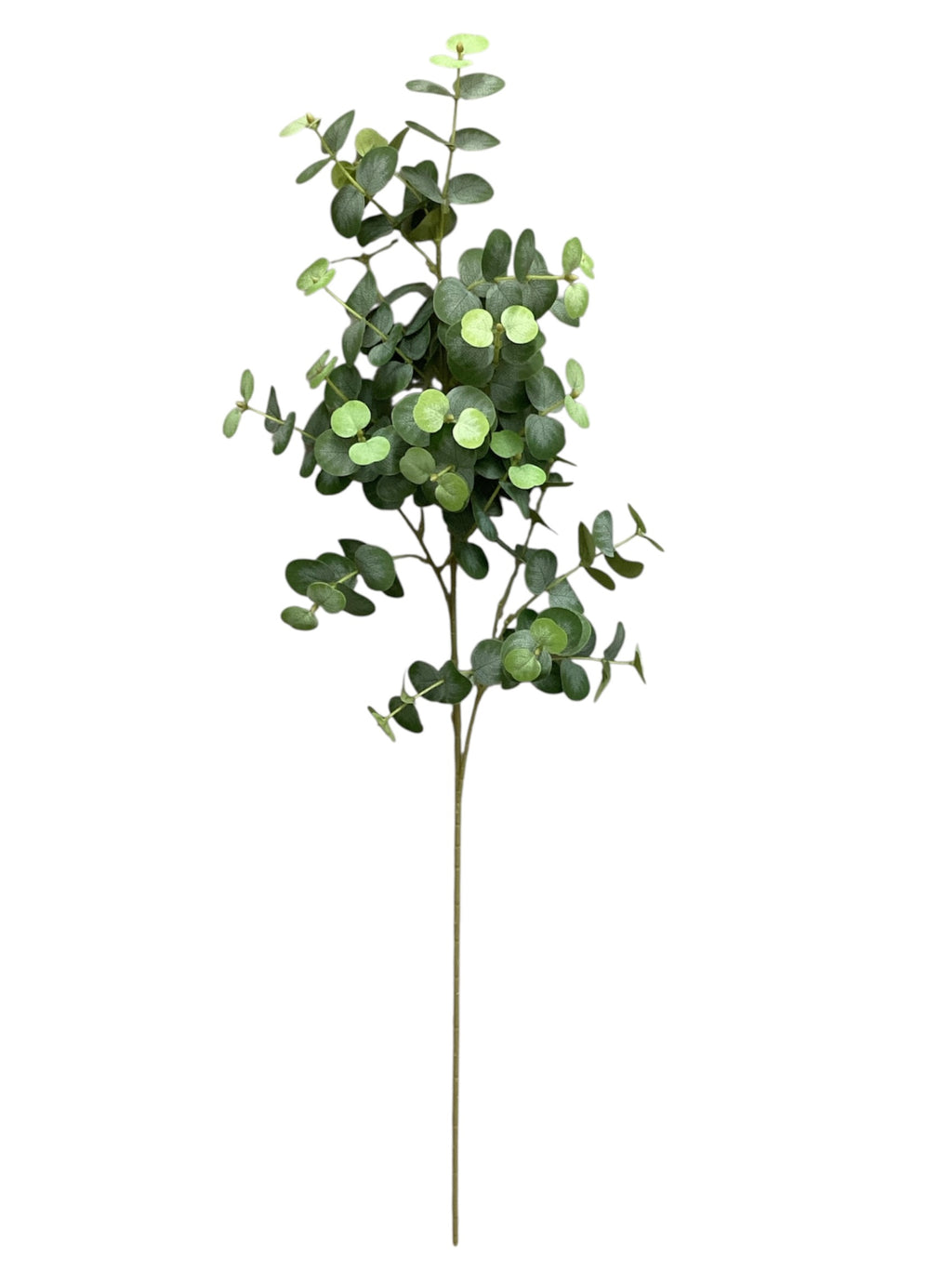 40'' Single Eucalyptus ( INT1110-Green )