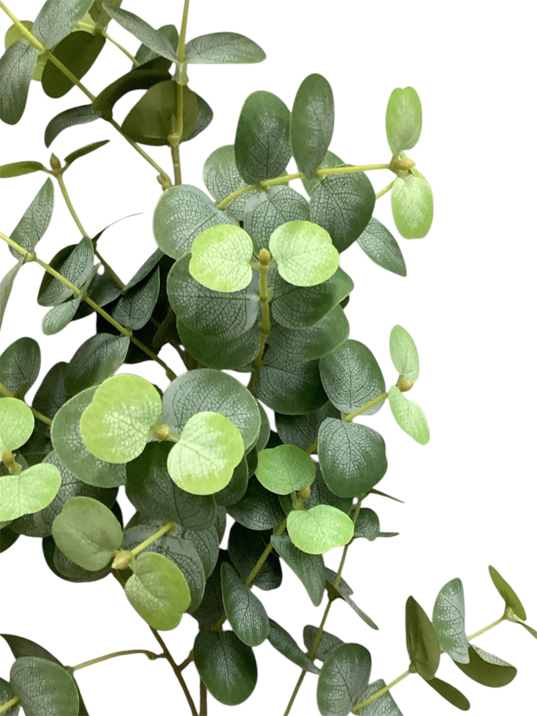 40'' Single Eucalyptus ( INT1110-Green )