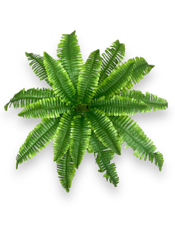 23'' Large  Boston Fern Bush ( GB151 )