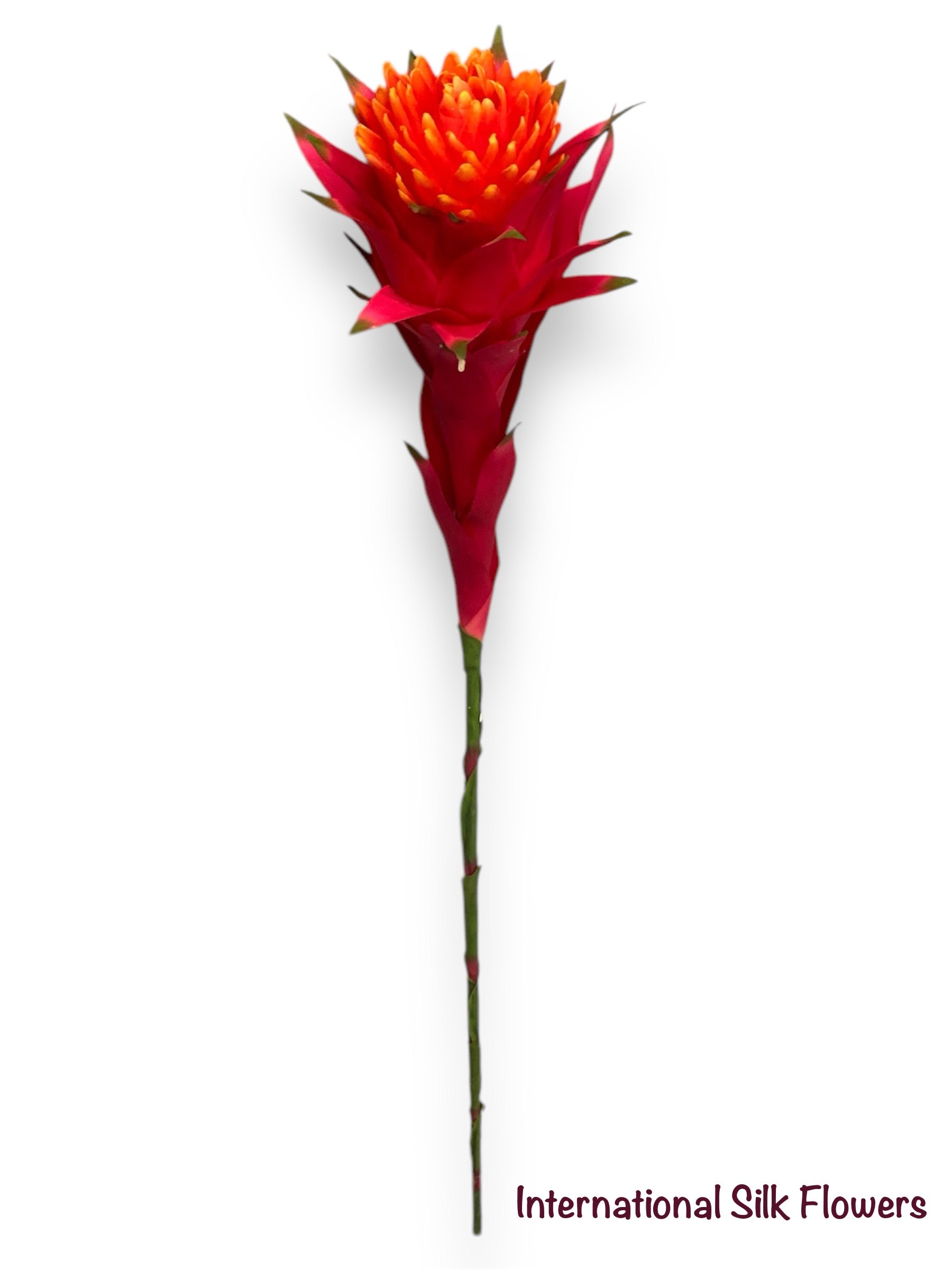 39'' African Bromeliad Spray ( FSB620-FL/RE )